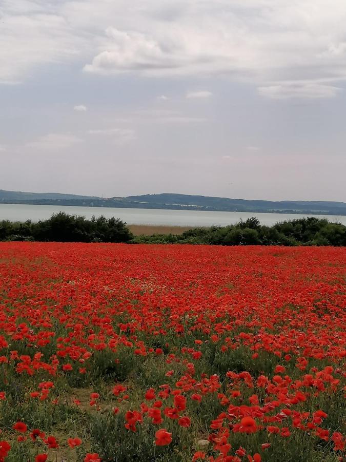 Aszofoi Panorama Apartmanhaz エクステリア 写真